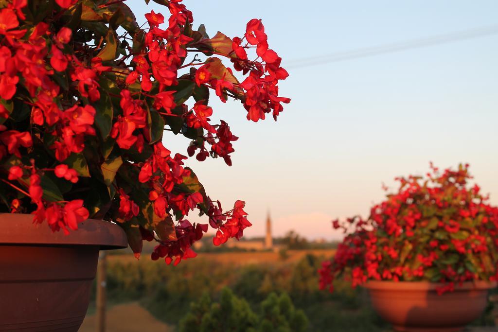 Agriturismo Le Casette Castelvetro di Modena Kültér fotó