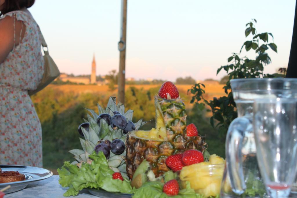 Agriturismo Le Casette Castelvetro di Modena Kültér fotó